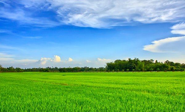 Biến động đất đai là gì? Những trường hợp phải đăng ký biến động đất đai trong 30 ngày?