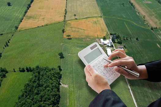 Giá đất theo thị trường được xác định như thế nào?