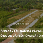 ĐẤT TRỒNG CÂY LÂU NĂM ĐÃ XÂY NHÀ NHIỀU NĂM CÓ ĐƯỢC CẤP SỔ ĐỎ ĐẤT Ở KHÔNG?