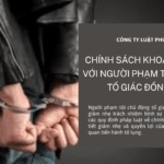 Chính sách khoan hồng đối với người phạm tội chủ động tố giác đồng phạm