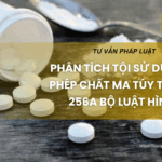 Phân tích tội sử dụng trái phép chất ma túy theo Điều 256a Bộ luật Hình sự
