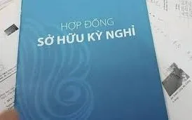 Nhận diện bẫy “hợp đồng kỳ nghỉ” và hậu quả pháp lý